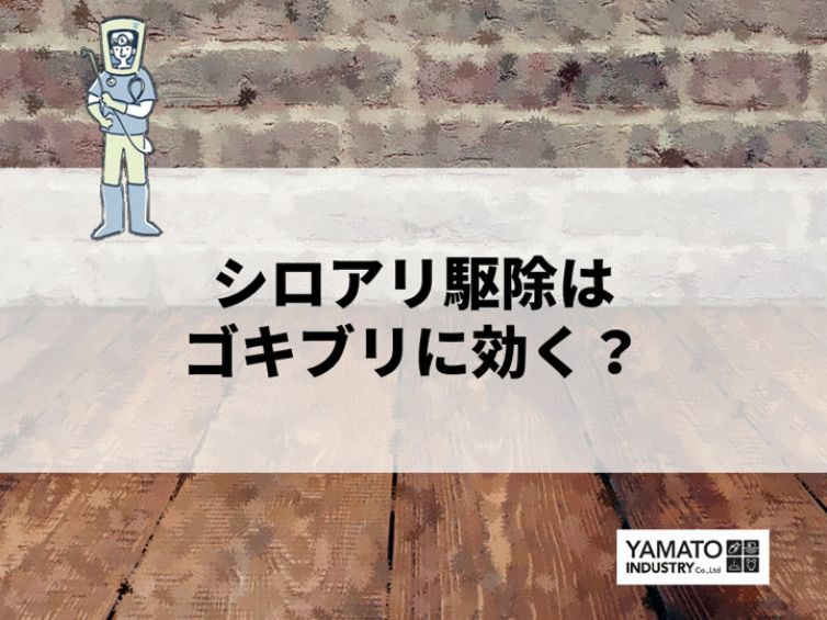 シロアリ駆除はゴキブリにも効果はあるのか