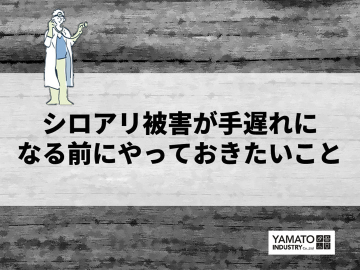 シロアリの被害を受けて手遅れになる前にやっておきたいこととは？ - 京都のシロアリ駆除・雨漏り防水工事専門業者ヤマト産業