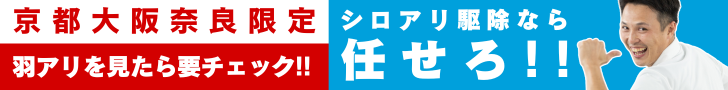 シロアリ駆除なら任せろ!