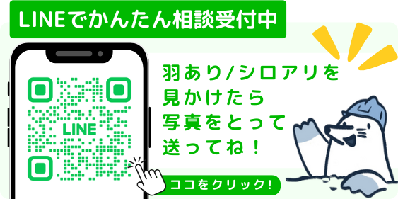 LINEでかんたん相談！シロアリかハネアリを見かけたら写真を撮って、おくってね！