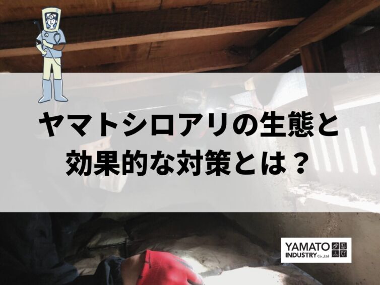ヤマトシロアリの生態と対策!実績30年の専門家が教える予防法