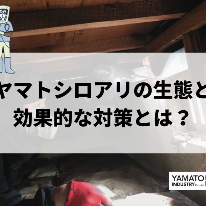 ヤマトシロアリの生態と対策！実績30年の専門家が教える予防法