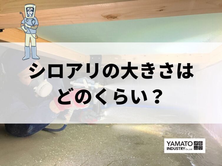 シロアリの大きさはどのくらい？実は知らないクロアリとの見分け方も解説