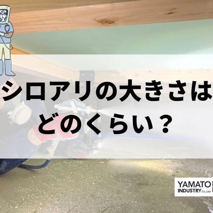 シロアリの大きさはどのくらい？実は知らないクロアリとの見分け方も解説